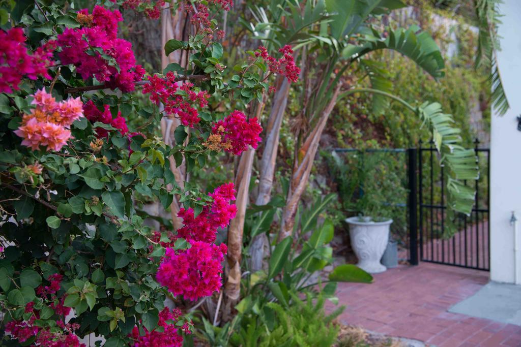 Meadows Mountain View Villa Hout Bay Exterior photo